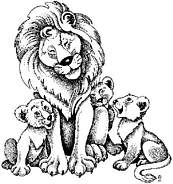 coloriage lions et les lionceaux